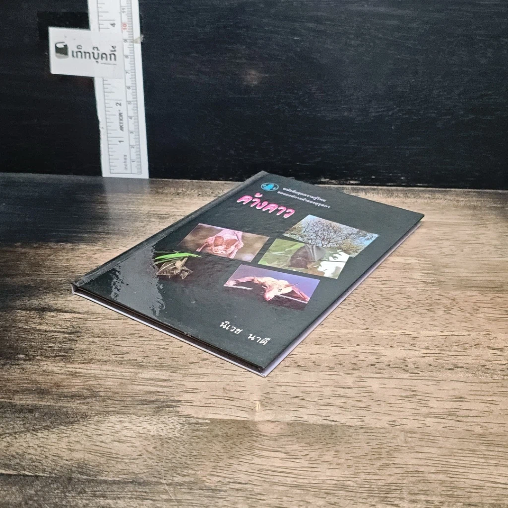 หนังสือ ค้างคาว รูปที่ 4