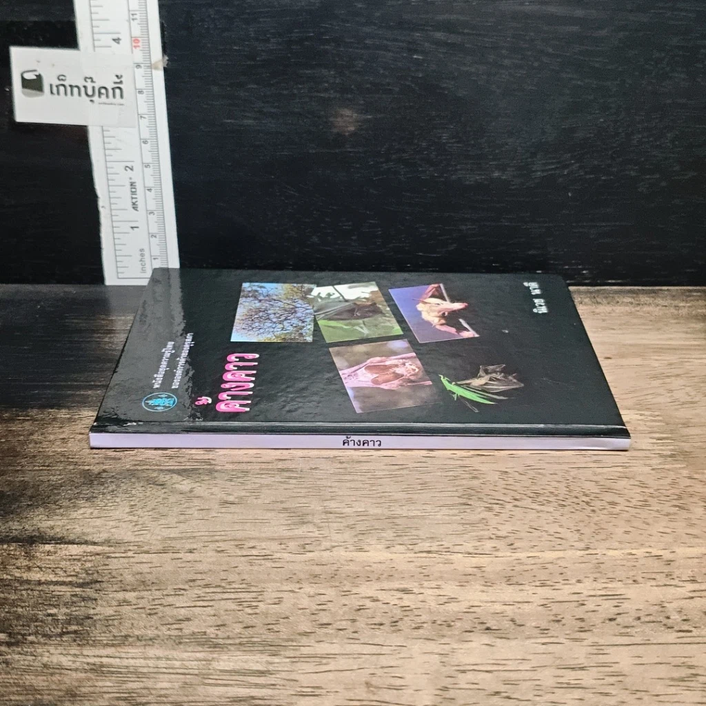 หนังสือ ค้างคาว รูปที่ 3