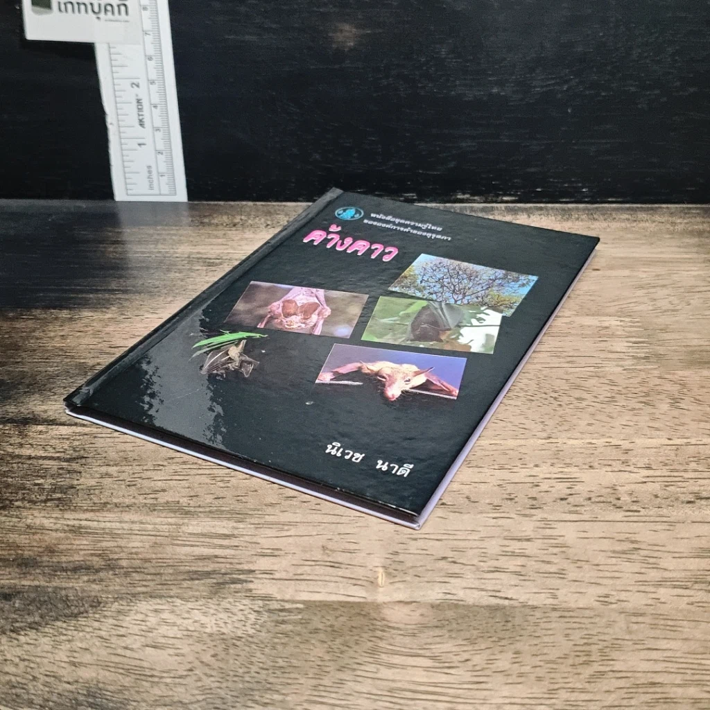 หนังสือ ค้างคาว รูปที่ 4