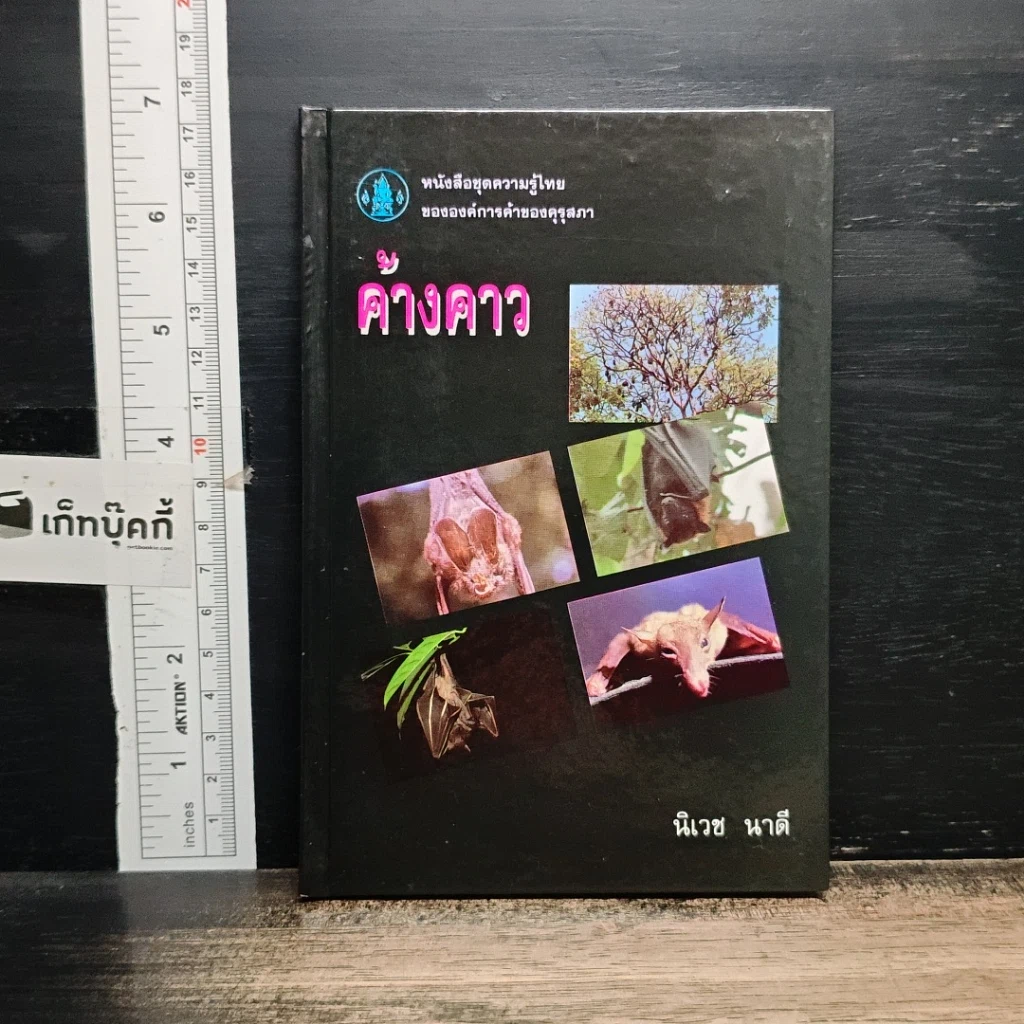 หนังสือ ค้างคาว รูปที่ 1