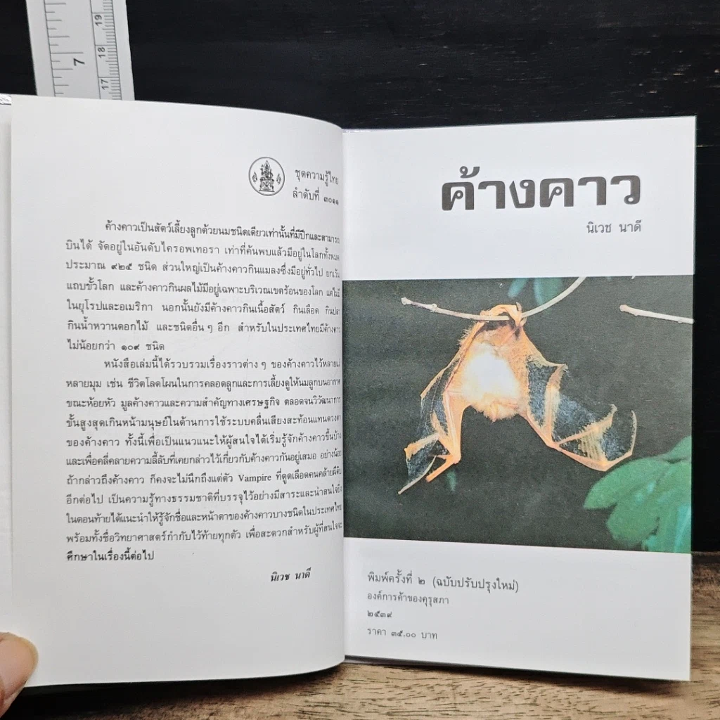 หนังสือ ค้างคาว รูปที่ 7
