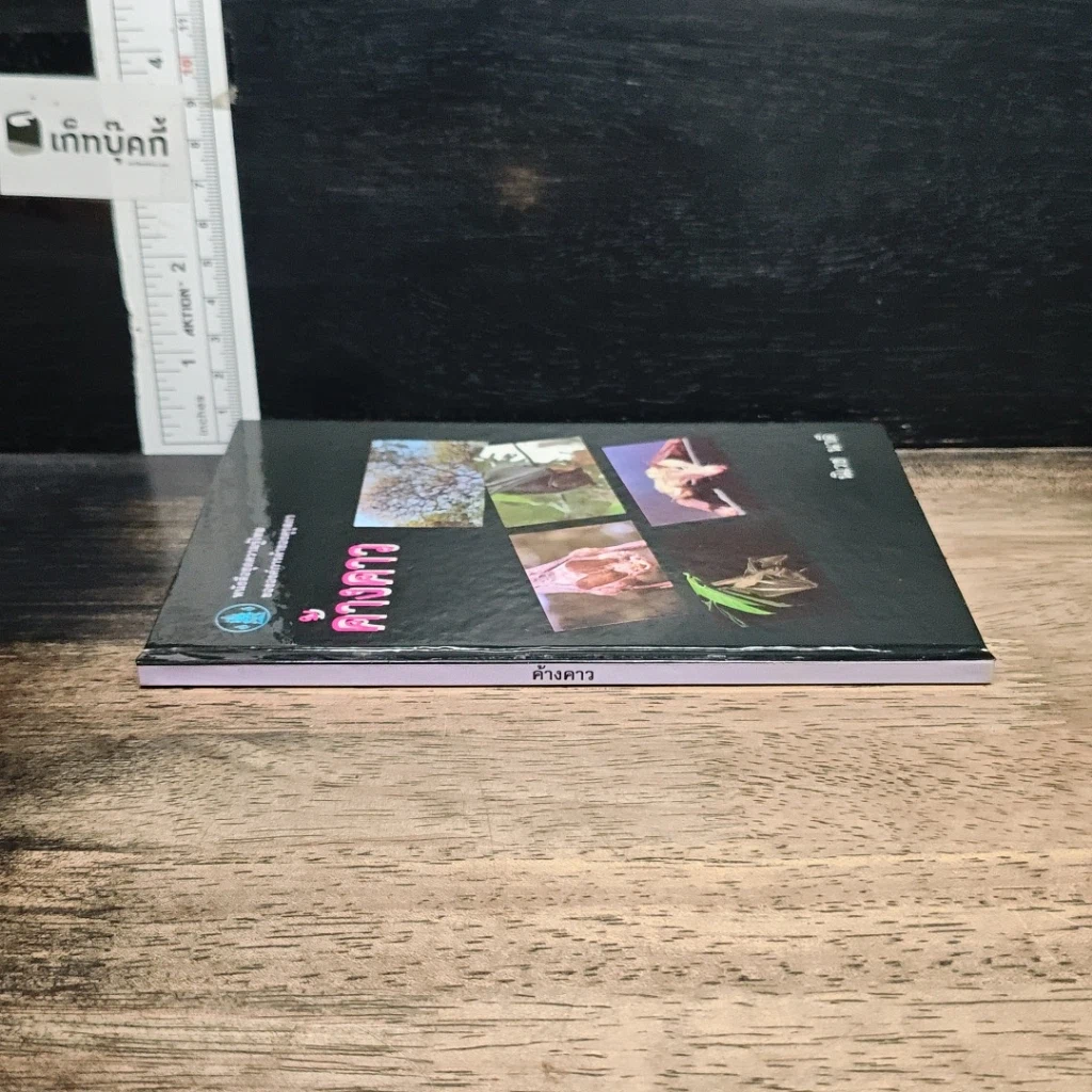 หนังสือ ค้างคาว รูปที่ 3