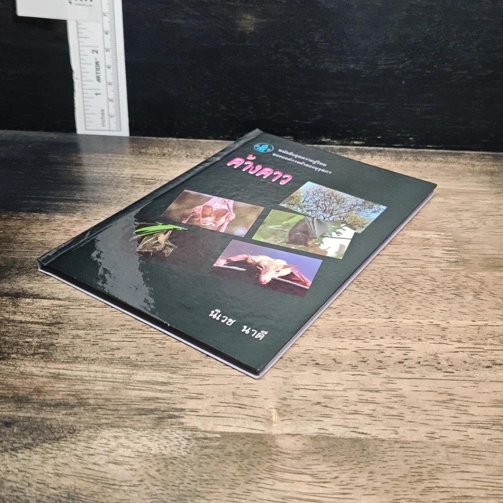 หนังสือ ค้างคาว รูปที่ 4