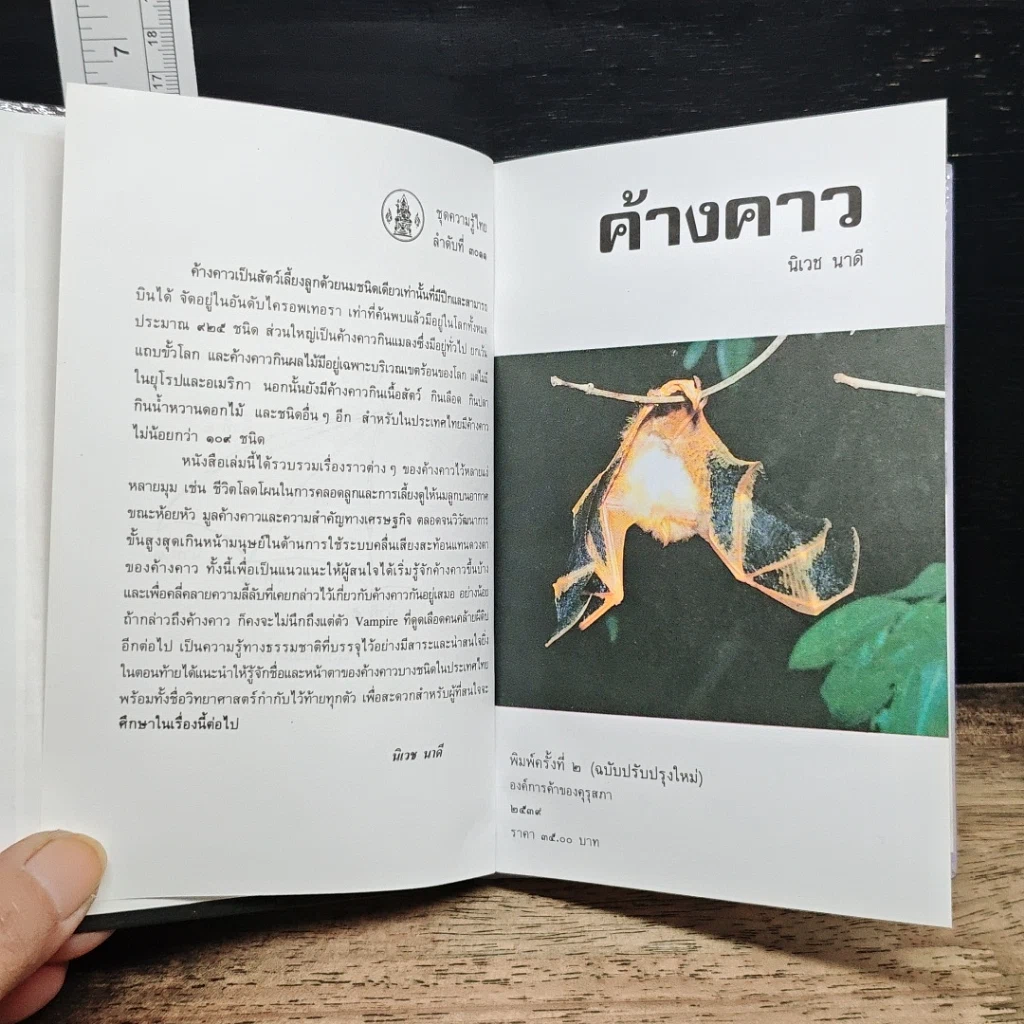 หนังสือ ค้างคาว รูปที่ 7