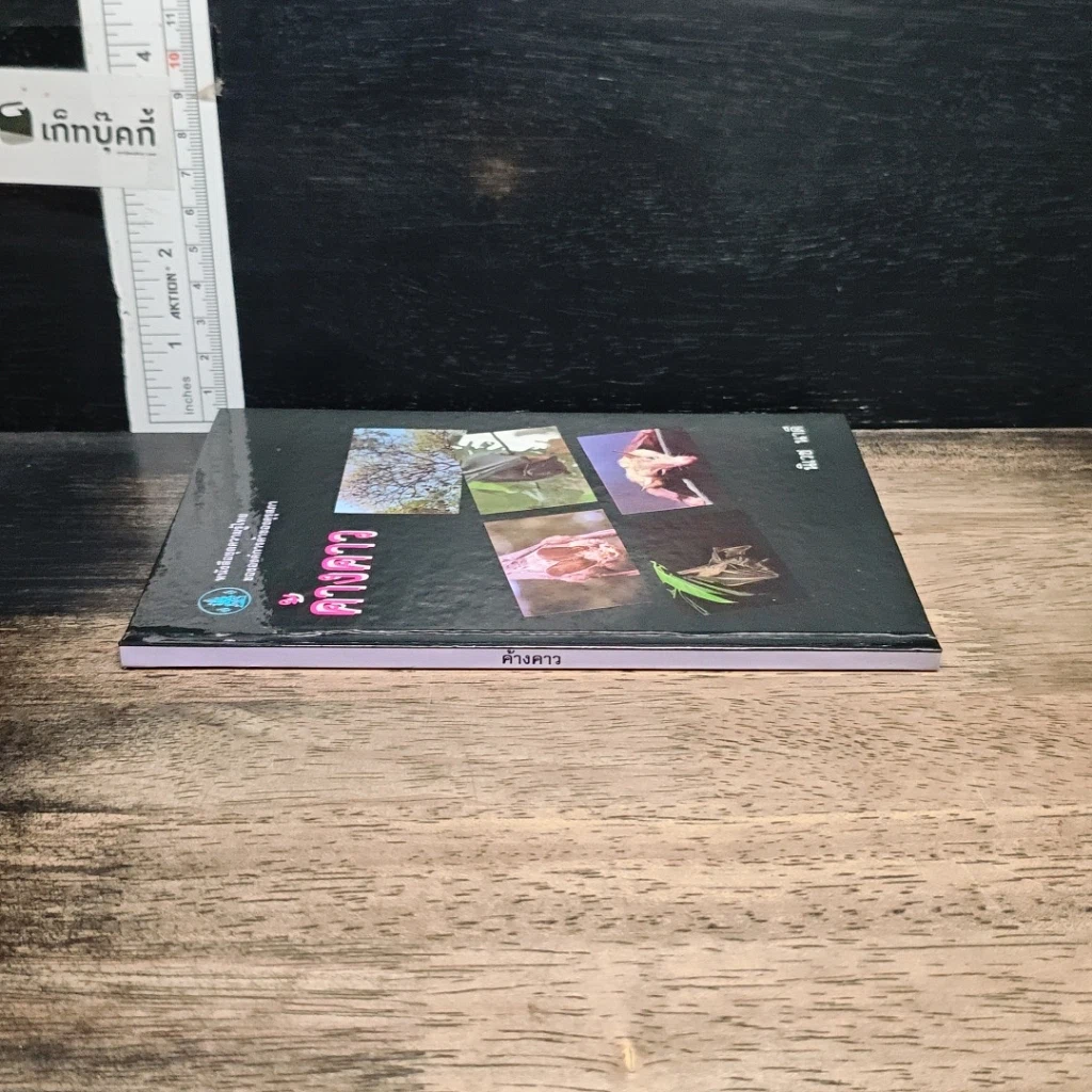 หนังสือ ค้างคาว รูปที่ 3