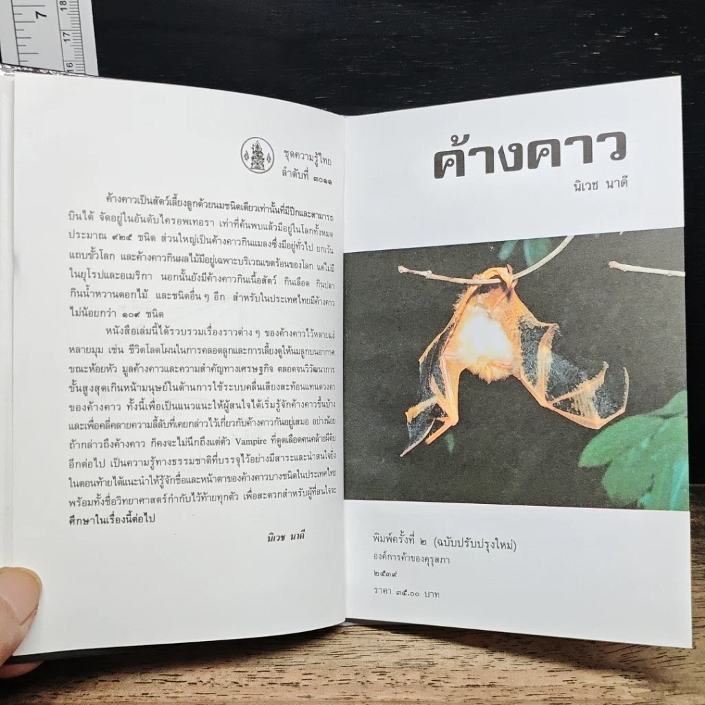 หนังสือ ค้างคาว รูปที่ 7