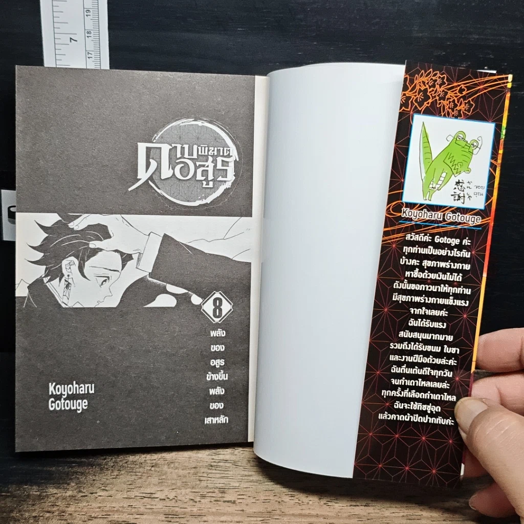 หนังสือ ดาบพิฆาตอสูร เล่ม 8 รูปที่ 11
