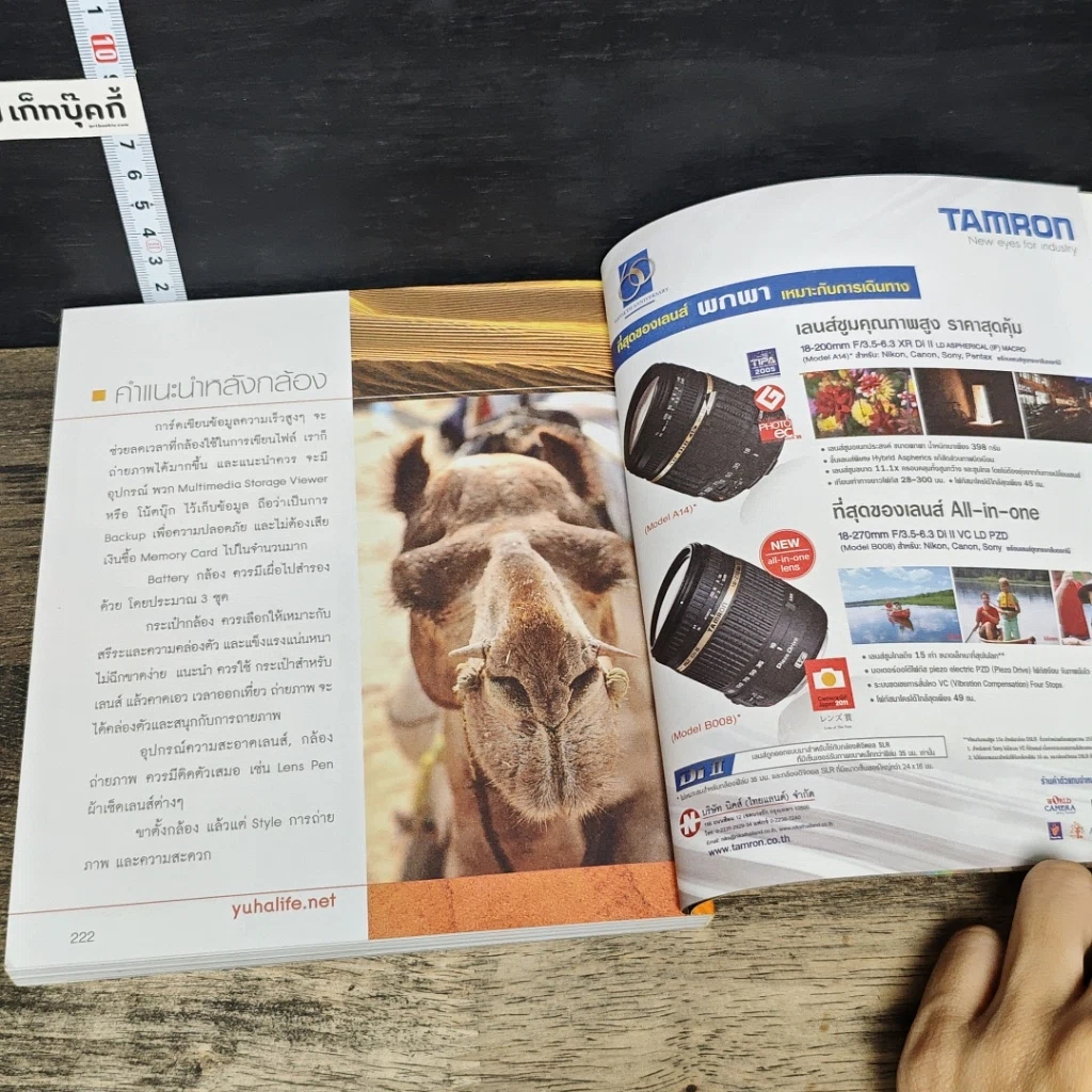 หนังสือ ราชาสถาน วิมานอินเดีย รูปที่ 8