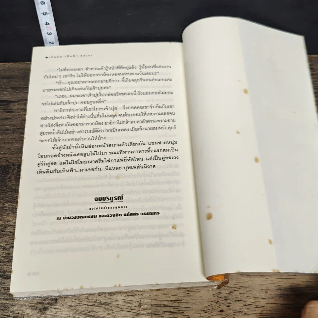 หนังสือ เดินดินเหินฟ้าอลเวง รูปที่ 8