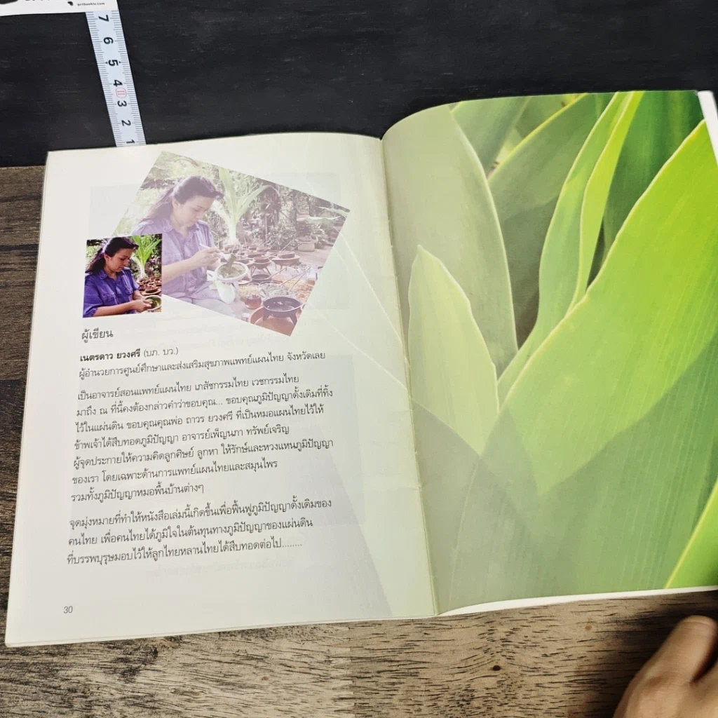 หนังสือ อีสานไทยสัปปายะ เจลสมุนไพรธรรมชาติ รูปที่ 8