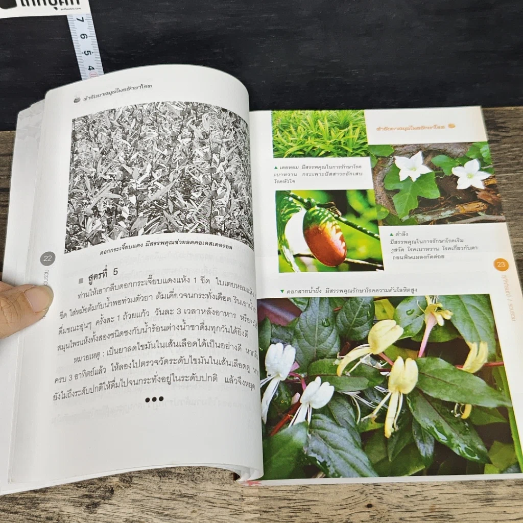 หนังสือ ตำรับยาสมุนไพรรักษาโรค สูตรภูมิปัญญาชาวบ้าน รูปที่ 8