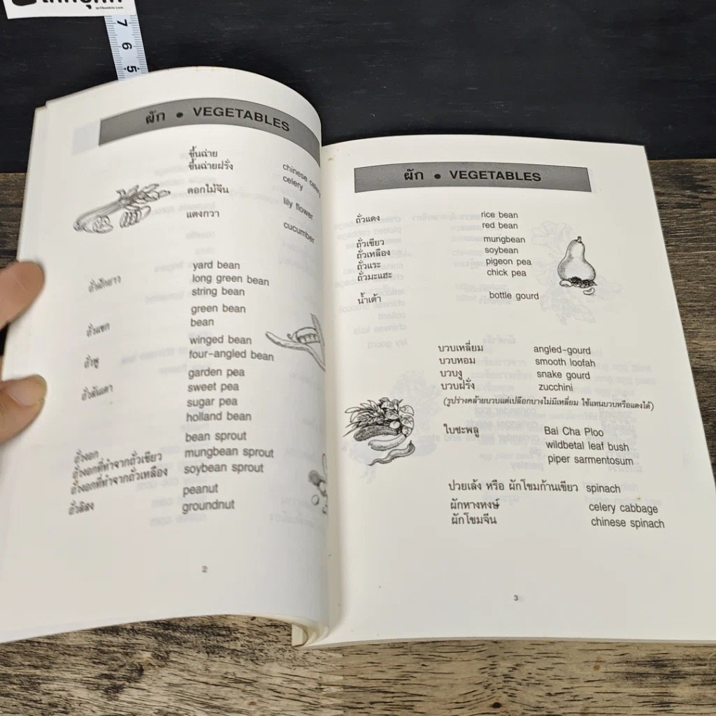หนังสือ คำศัพท์คหกรรมศาสตร์ รูปที่ 8