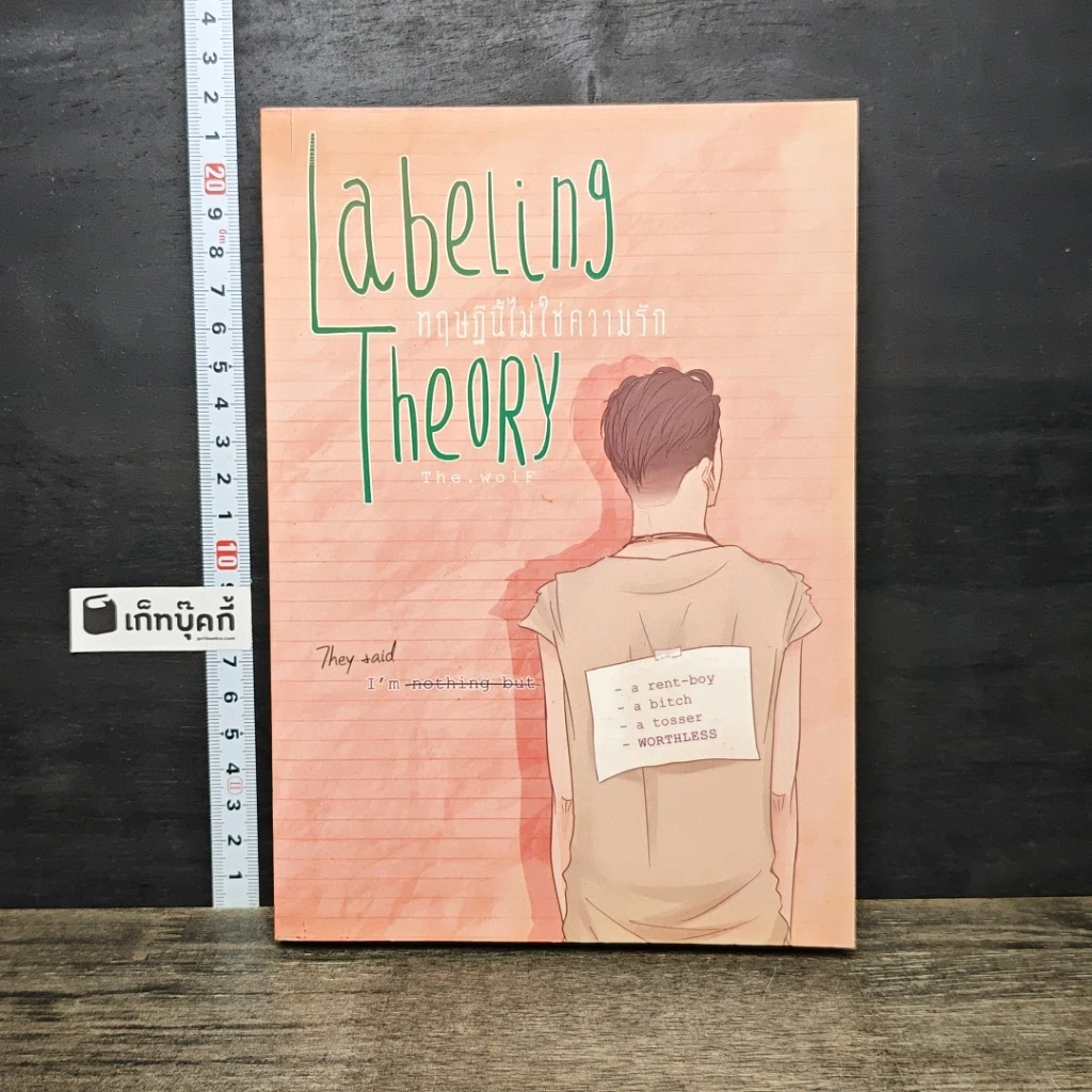 หนังสือ Labeling Theory ทฤษฎีนี้ไม่ใช่ความรัก รูปที่ 1