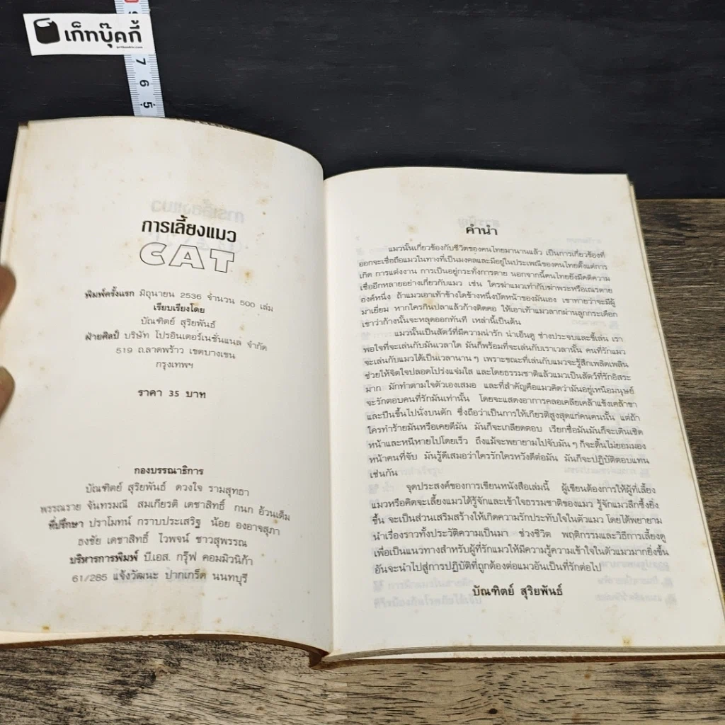 หนังสือ การเลี้ยงแมว รูปที่ 6
