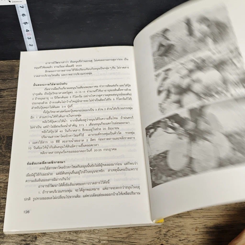 หนังสือ ความรู้เกี่ยวกับการปลูกขนุน รูปที่ 9