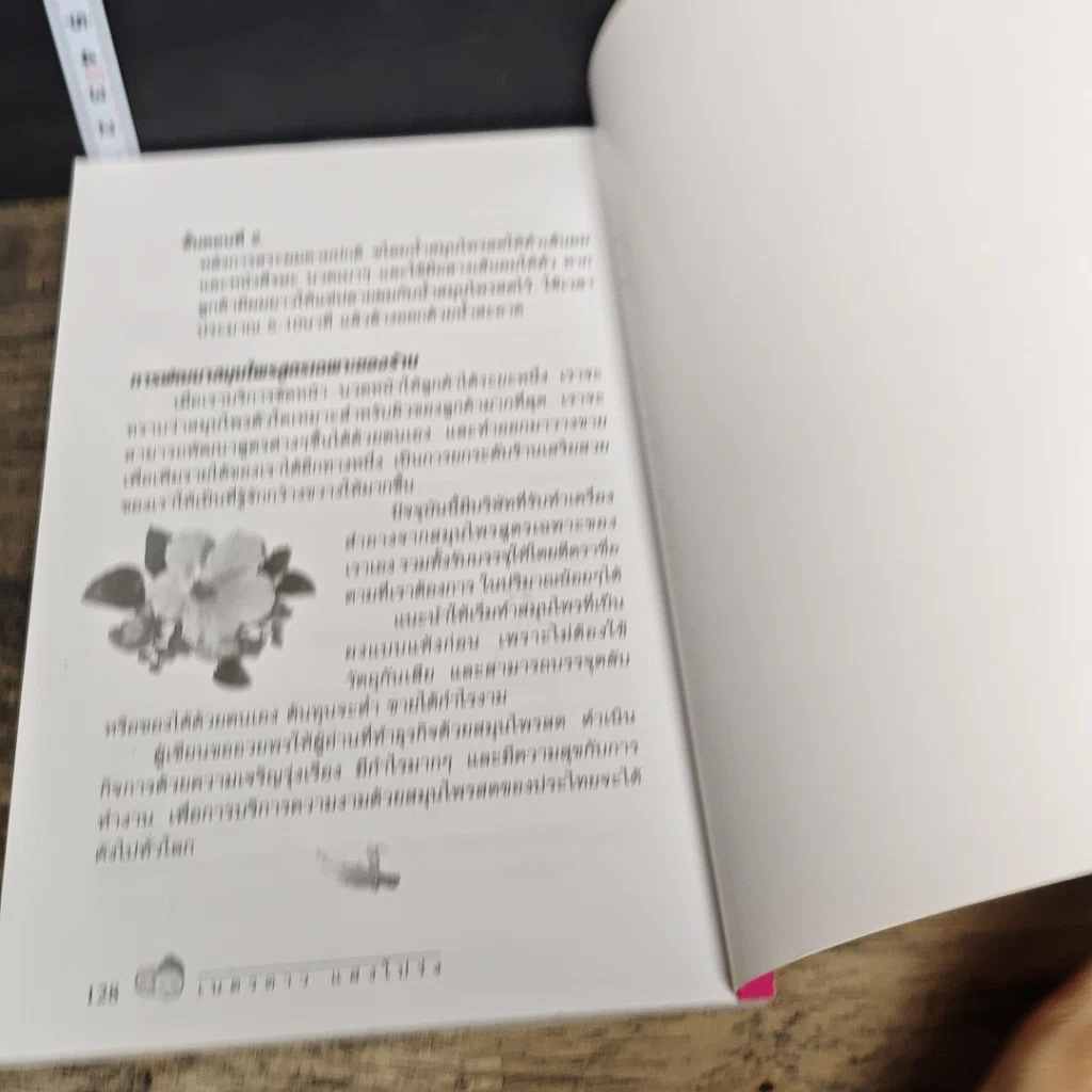หนังสือ สวยด้วยสูตรลับ สมุนไพรสด Beauty Tip by Herbs รูปที่ 9