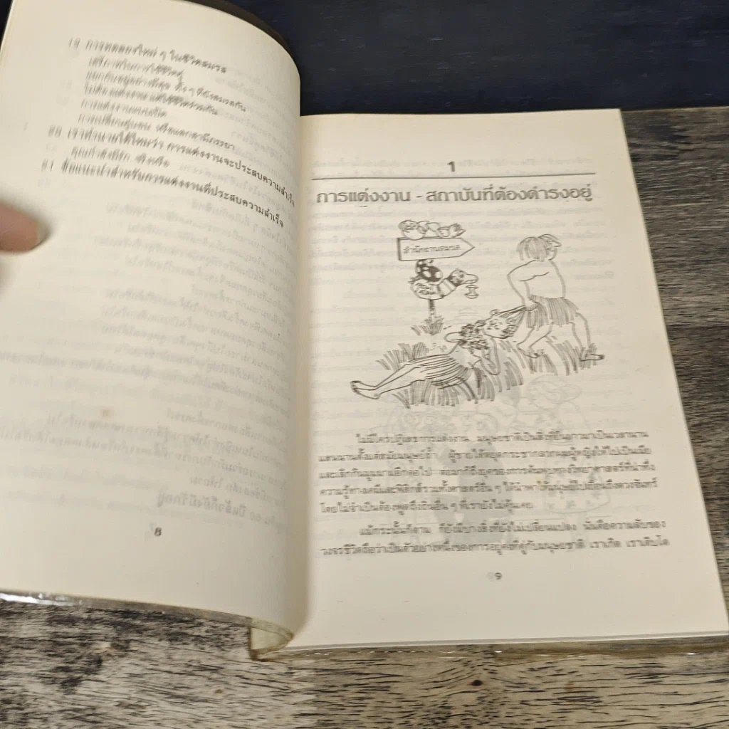 หนังสือ แต่งงานแบบนี้ไม่มีปัญหา รูปที่ 8