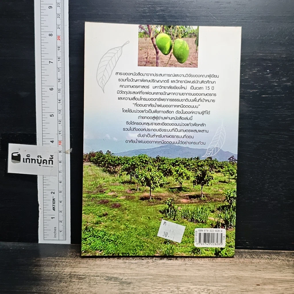 หนังสือ มะม่วงแก้ว รูปที่ 2