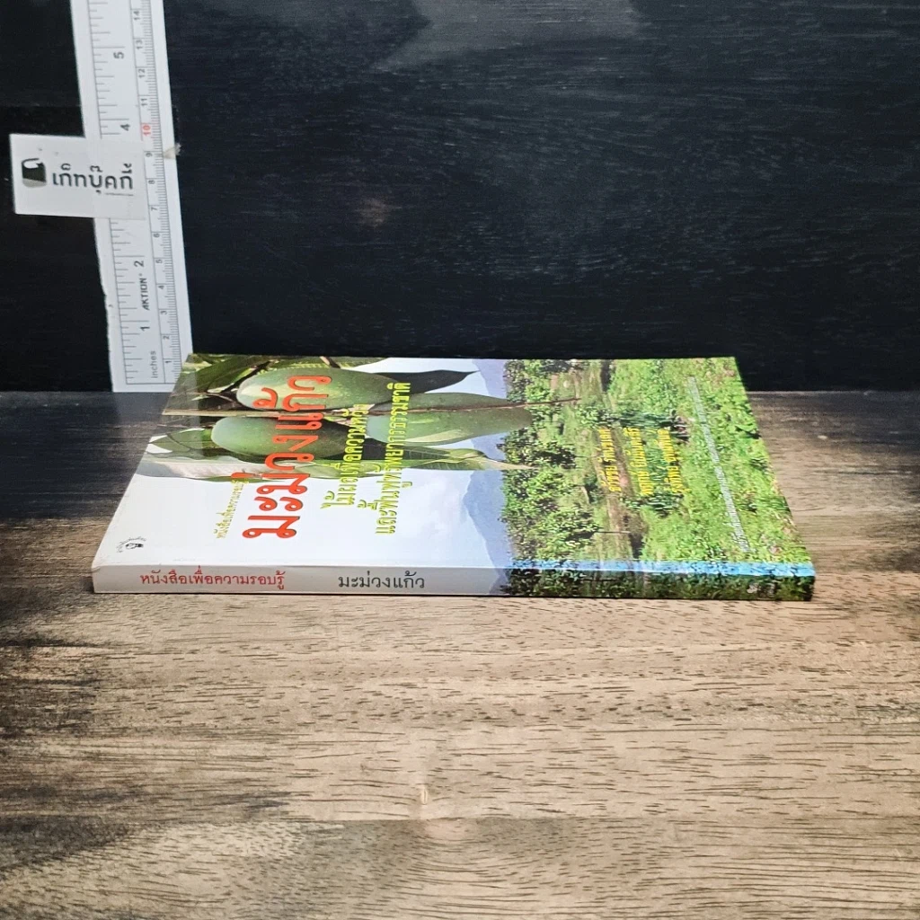 หนังสือ มะม่วงแก้ว รูปที่ 3