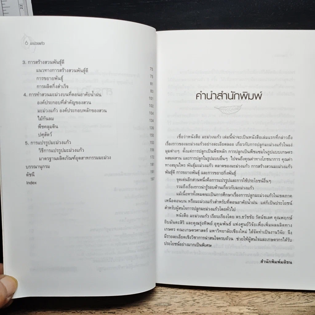 หนังสือ มะม่วงแก้ว รูปที่ 7