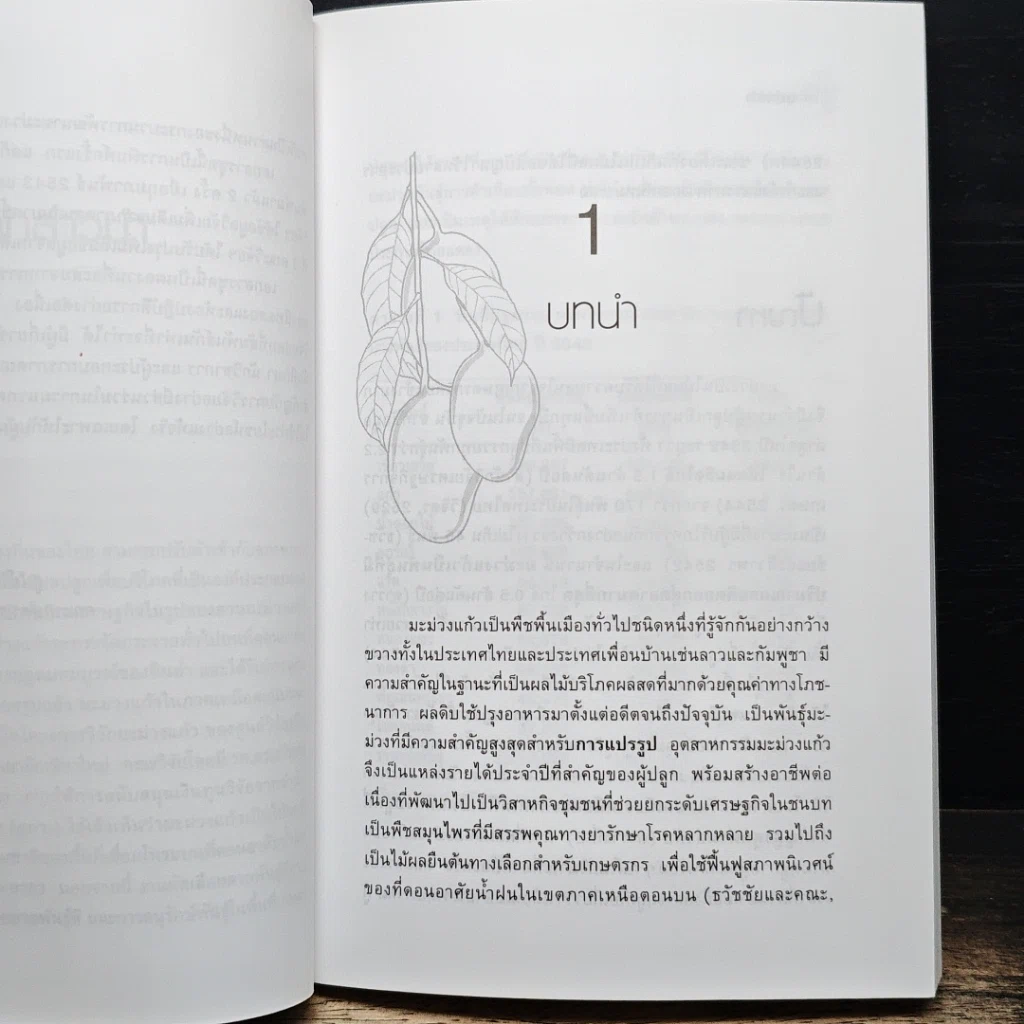 หนังสือ มะม่วงแก้ว รูปที่ 8