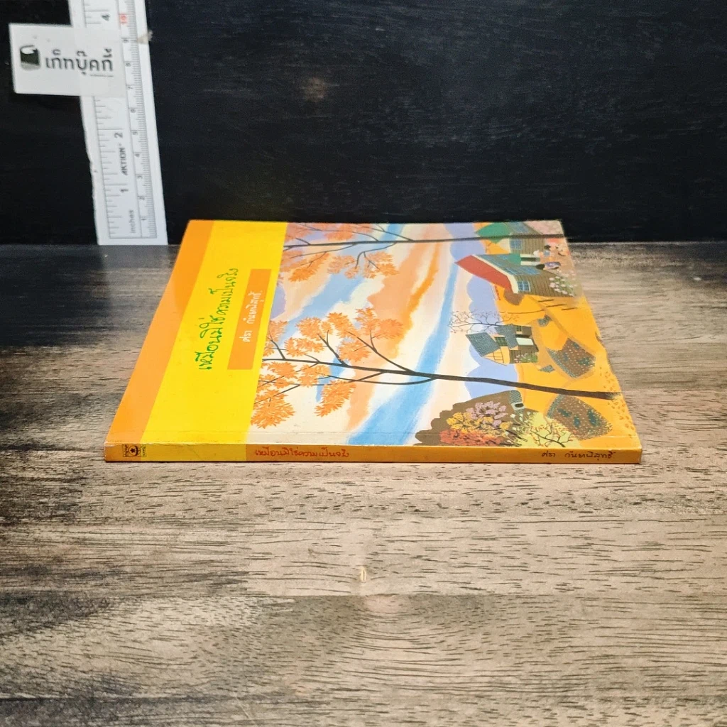 หนังสือ เหมือนมิใช่ความเป็นจริง รูปที่ 3