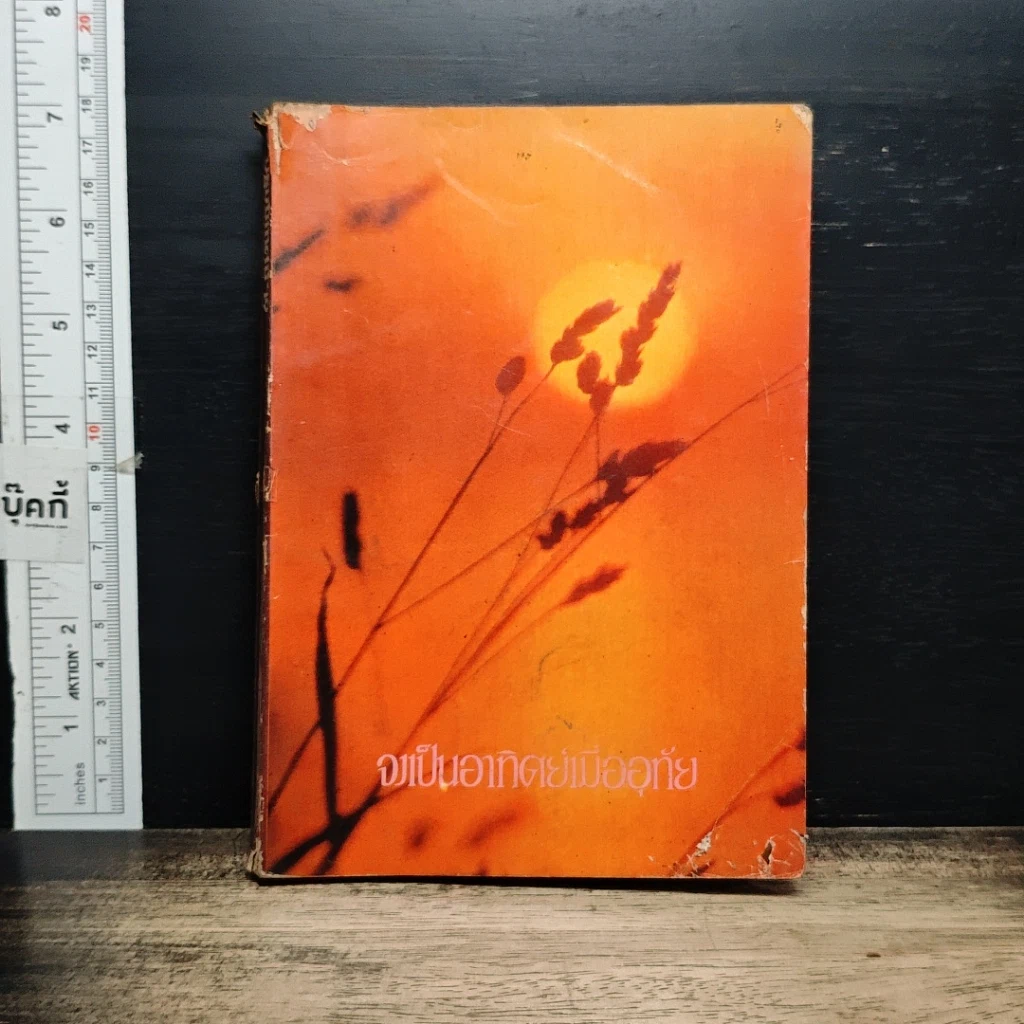 หนังสือ จงเป็นอาทิตย์เมื่ออุทัย รูปที่ 1