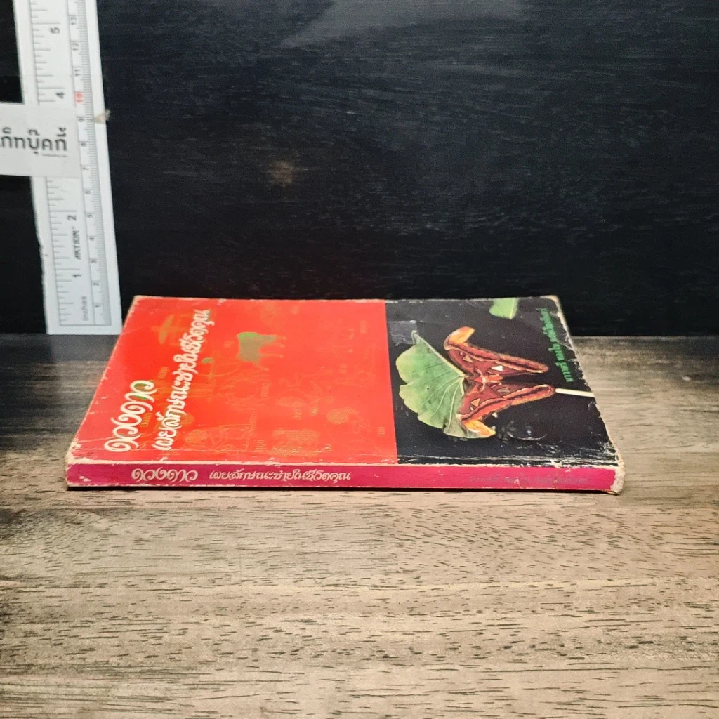 หนังสือ ดวงดาวเผยลักษณะชายในชีวิตคุณ รูปที่ 3