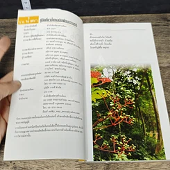 หนังสือ ณ น้ำตก คู่มือเที่ยวน้ำตกฉบับเพื่อนธรรมชาติ รูปที่ 6