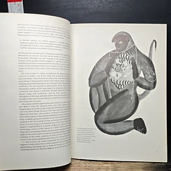 หนังสือ Subtle Body รูปที่ 8