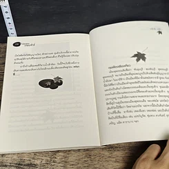 หนังสือ ไปตะลอน(ก่อน)ทัวร์ รูปที่ 8