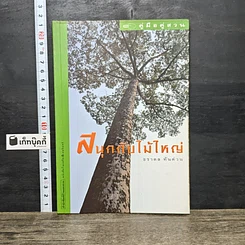 หนังสือ สนุกกับไม้ใหญ่