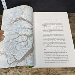 หนังสือ สนุกกับไม้ใหญ่ รูปที่ 7