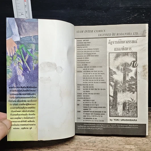 หนังสือ กีฏจารย์ กับ อาถรรพ์แมลงพิสดาร เล่ม 10 รูปที่ 6