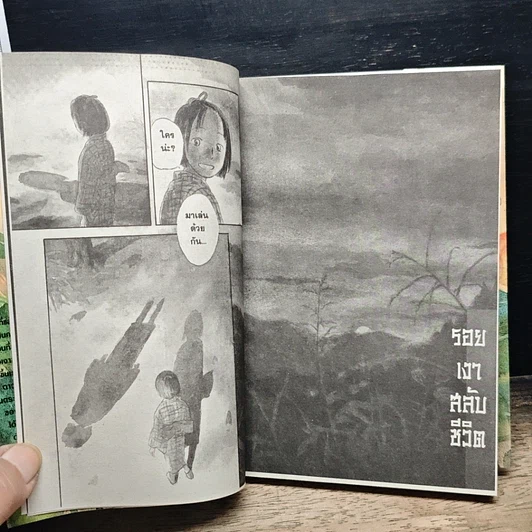 หนังสือ กีฏจารย์ กับ อาถรรพ์แมลงพิสดาร เล่ม 9 รูปที่ 7