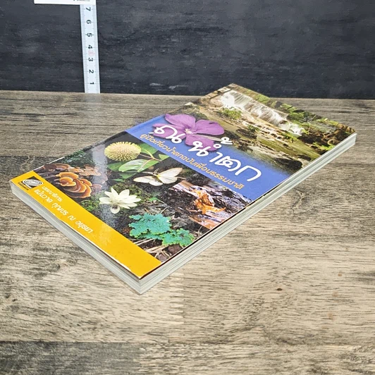หนังสือ ณ น้ำตก คู่มือเที่ยวน้ำตกฉบับเพื่อนธรรมชาติ รูปที่ 3
