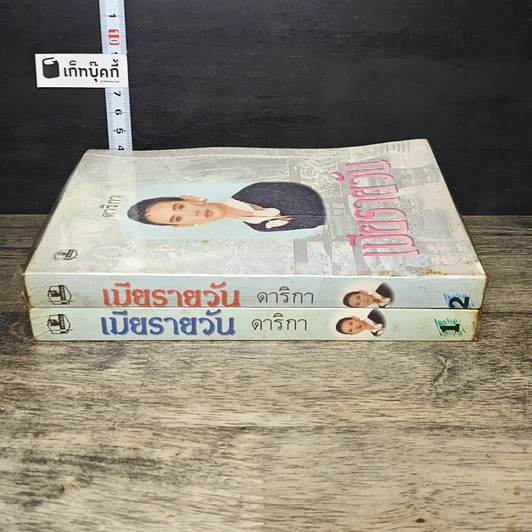 หนังสือ เมียรายวัน 2 เล่มจบ รูปที่ 3