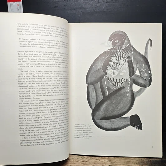 หนังสือ Subtle Body รูปที่ 8