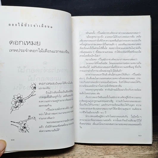 หนังสือ มิ่งไม้มาลีจีน รูปที่ 9