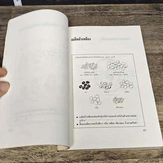 หนังสือ ความรู้เกี่ยวกับการปลูกถั่วเหลืองในนาข้าว รูปที่ 7