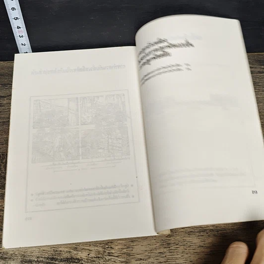 หนังสือ ความรู้เกี่ยวกับการปลูกถั่วเหลืองในนาข้าว รูปที่ 8