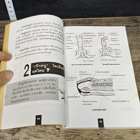หนังสือ 111 คำถามเมื่อคุณเตะปี๊บไม่ดัง รูปที่ 8