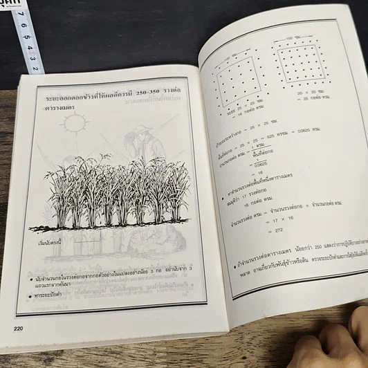 หนังสือ ความรู้เบื้องต้นเกี่ยวกับการปลูกข้าว รูปที่ 9