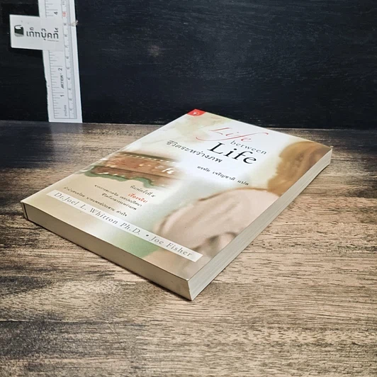 หนังสือ ชีวิตระหว่างภพ รูปที่ 4