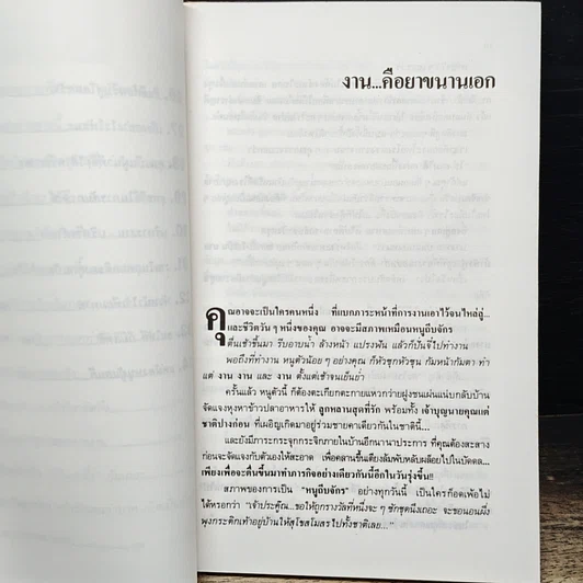 หนังสือ ขยันน้อยหน่อยฉลาดมากหน่อย รูปที่ 9