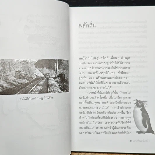 หนังสือ เสน่ห์นอร์เวย์ เล่ม 1 รูปที่ 9