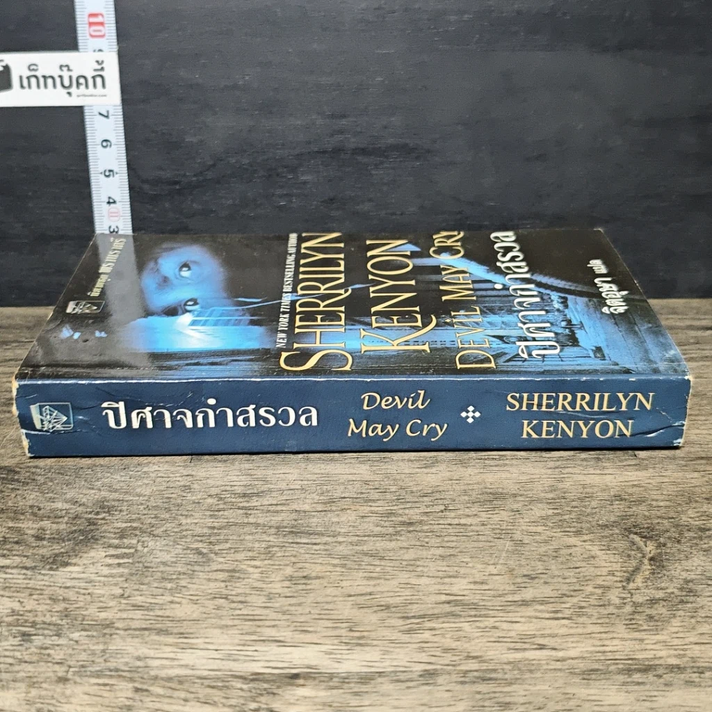 หนังสือ ปีศาจกำสรวล รูปที่ 2