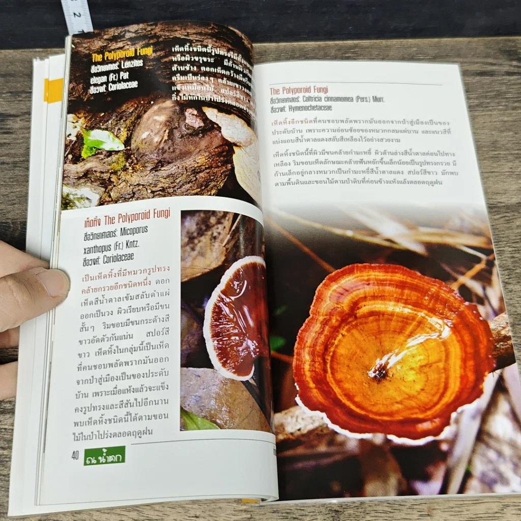 หนังสือ ณ น้ำตก คู่มือเที่ยวน้ำตกฉบับเพื่อนธรรมชาติ รูปที่ 8