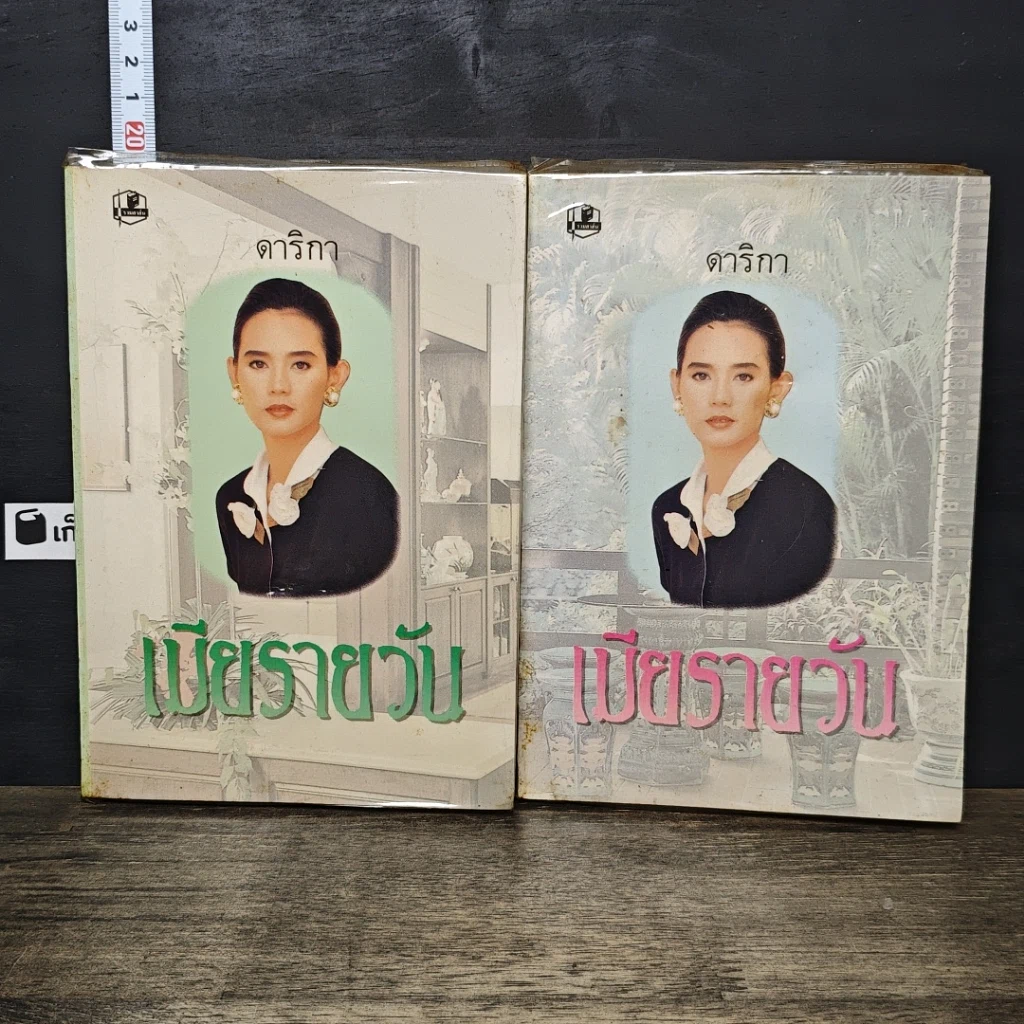 หนังสือ เมียรายวัน 2 เล่มจบ รูปที่ 1