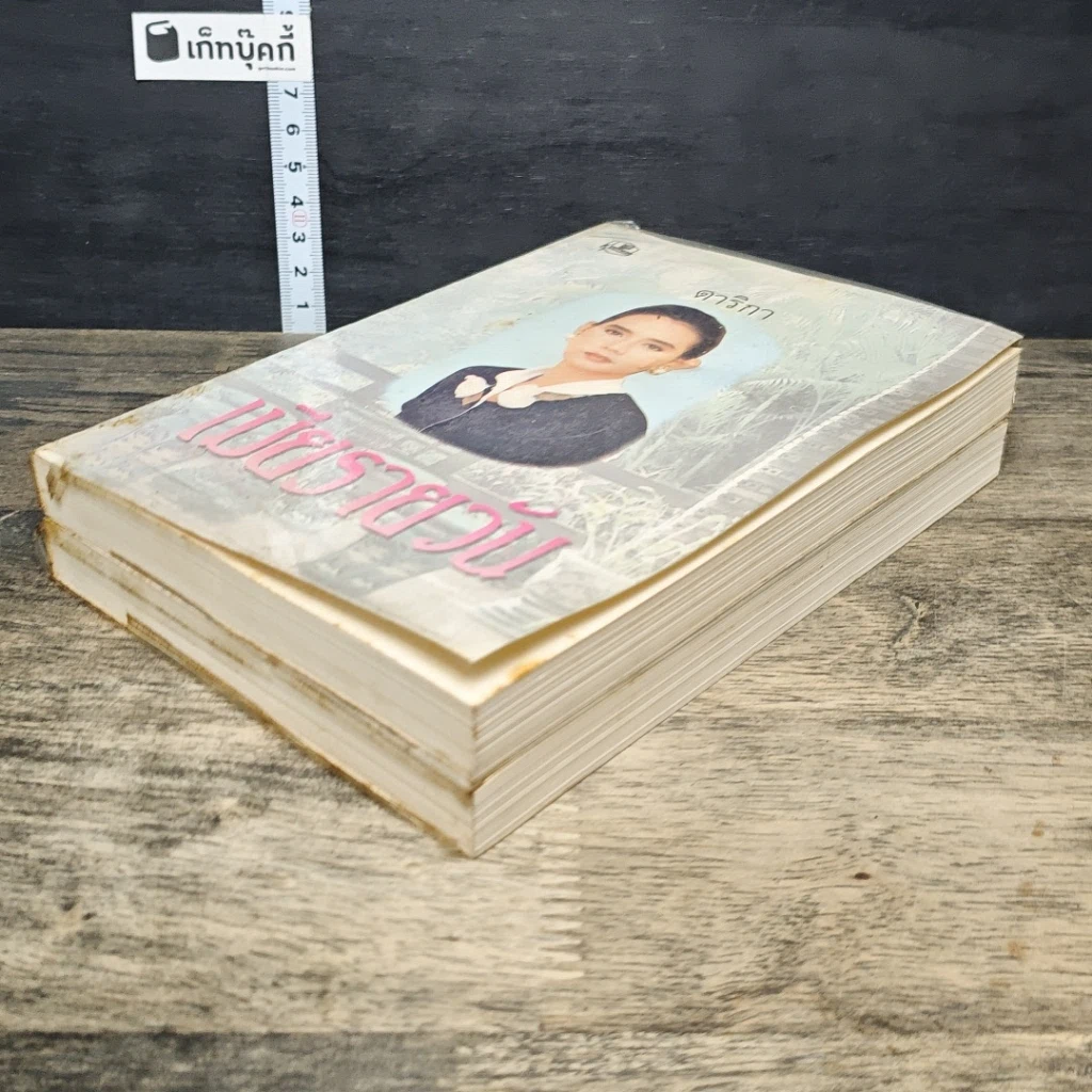 หนังสือ เมียรายวัน 2 เล่มจบ รูปที่ 4